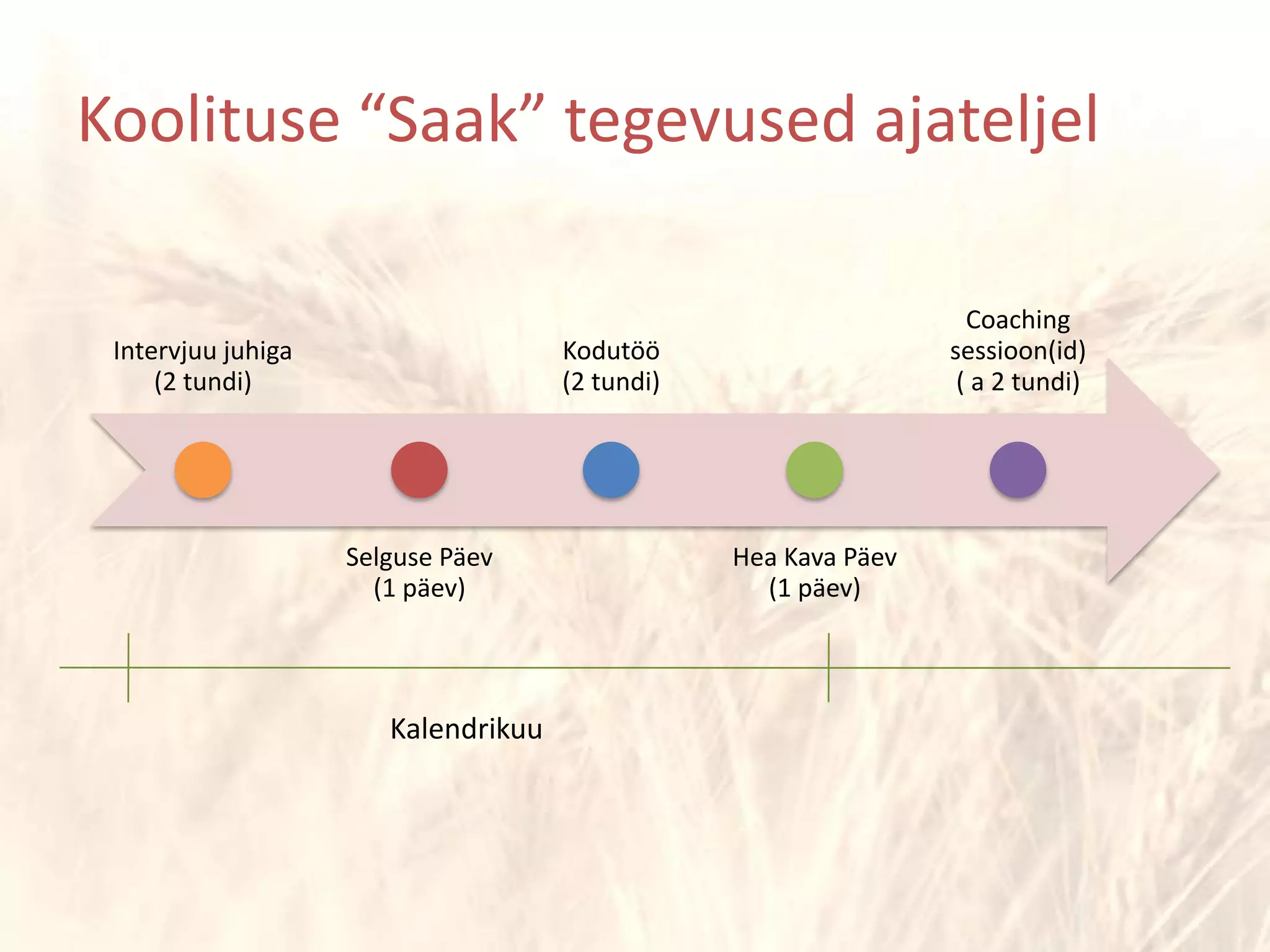 KalendrikuuKoolituse “Saak” tegevused ajateljel