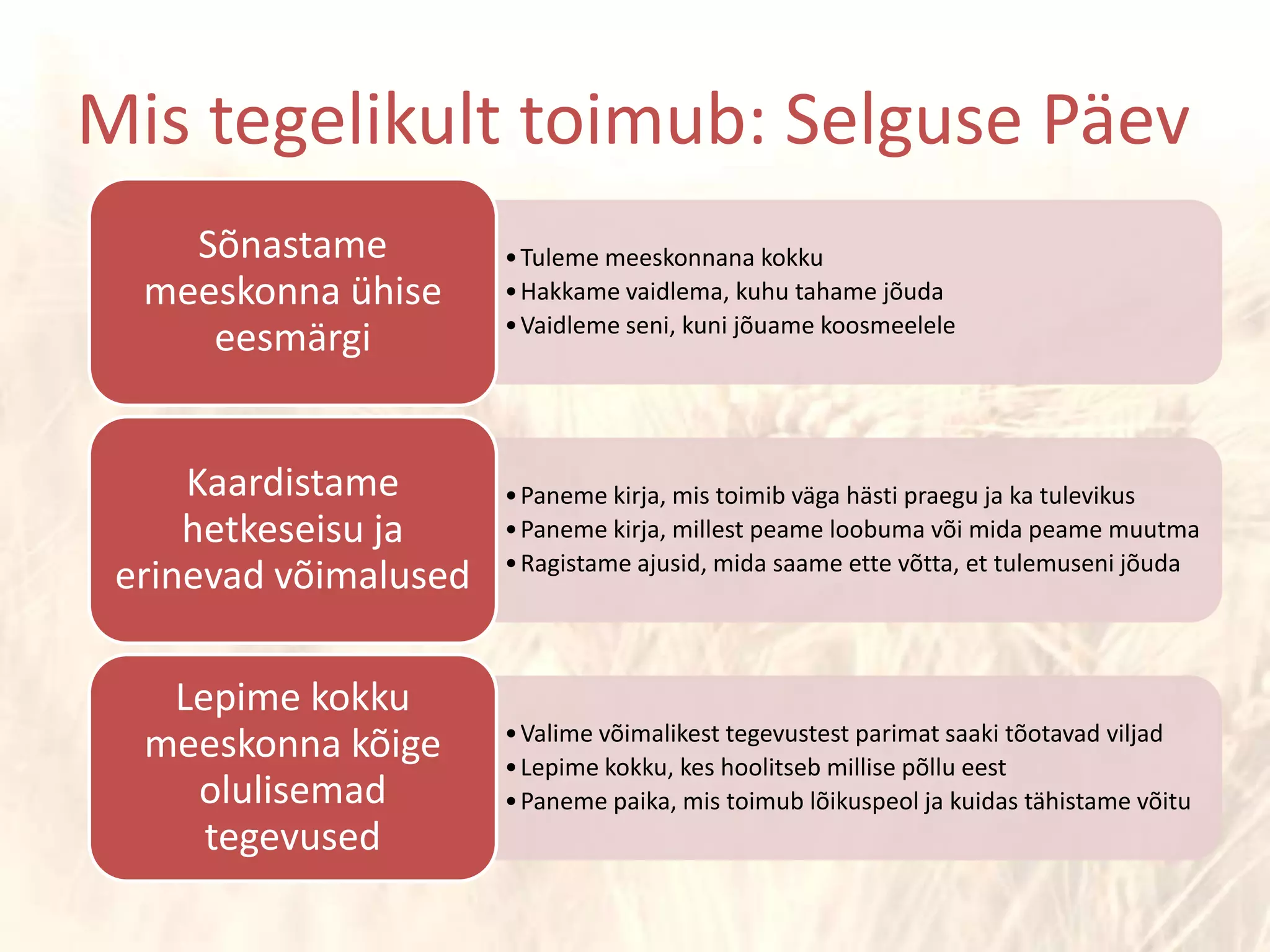 Mis tegelikult toimub: Selguse Päev