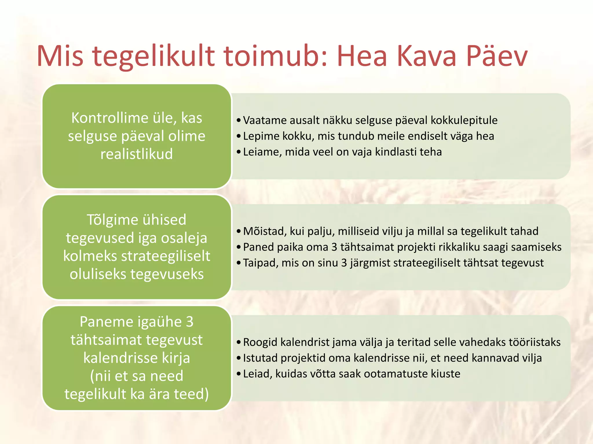 Mis tegelikult toimub: Hea Kava Päev