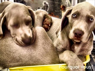 Formation rédaction Web SAAQ