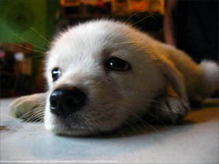 Formation rédaction Web SAAQ