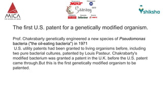 The first U.S. patent for a genetically modified organism.
Prof. Chakrabarty genetically engineered a new species of Pseudomonas
bacteria ("the oil-eating bacteria") in 1971
U.S. utility patents had been granted to living organisms before, including
two pure bacterial cultures, patented by Louis Pasteur. Chakrabarty's
modified bacterium was granted a patent in the U.K. before the U.S. patent
came through.But this is the first genetically modified organism to be
patented.
 