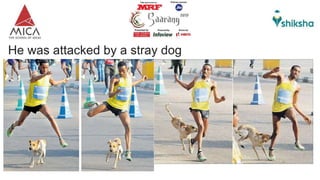 He was attacked by a stray dog
 