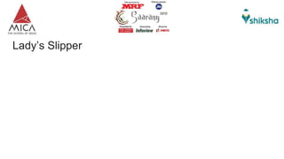 Lady’s Slipper
 