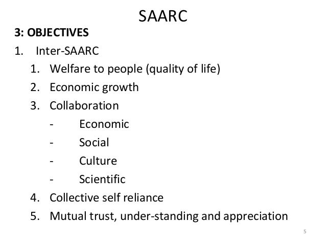 Saarc single currency