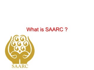 What is SAARC ?
 