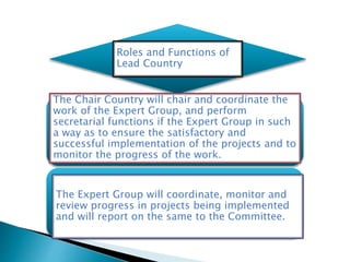 Roles and Functions of
Lead Country
The Chair Country will chair and coordinate the
work of the Expert Group, and perform
secretarial functions if the Expert Group in such
a way as to ensure the satisfactory and
successful implementation of the projects and to
monitor the progress of the work.
The Expert Group will coordinate, monitor and
review progress in projects being implemented
and will report on the same to the Committee.
 