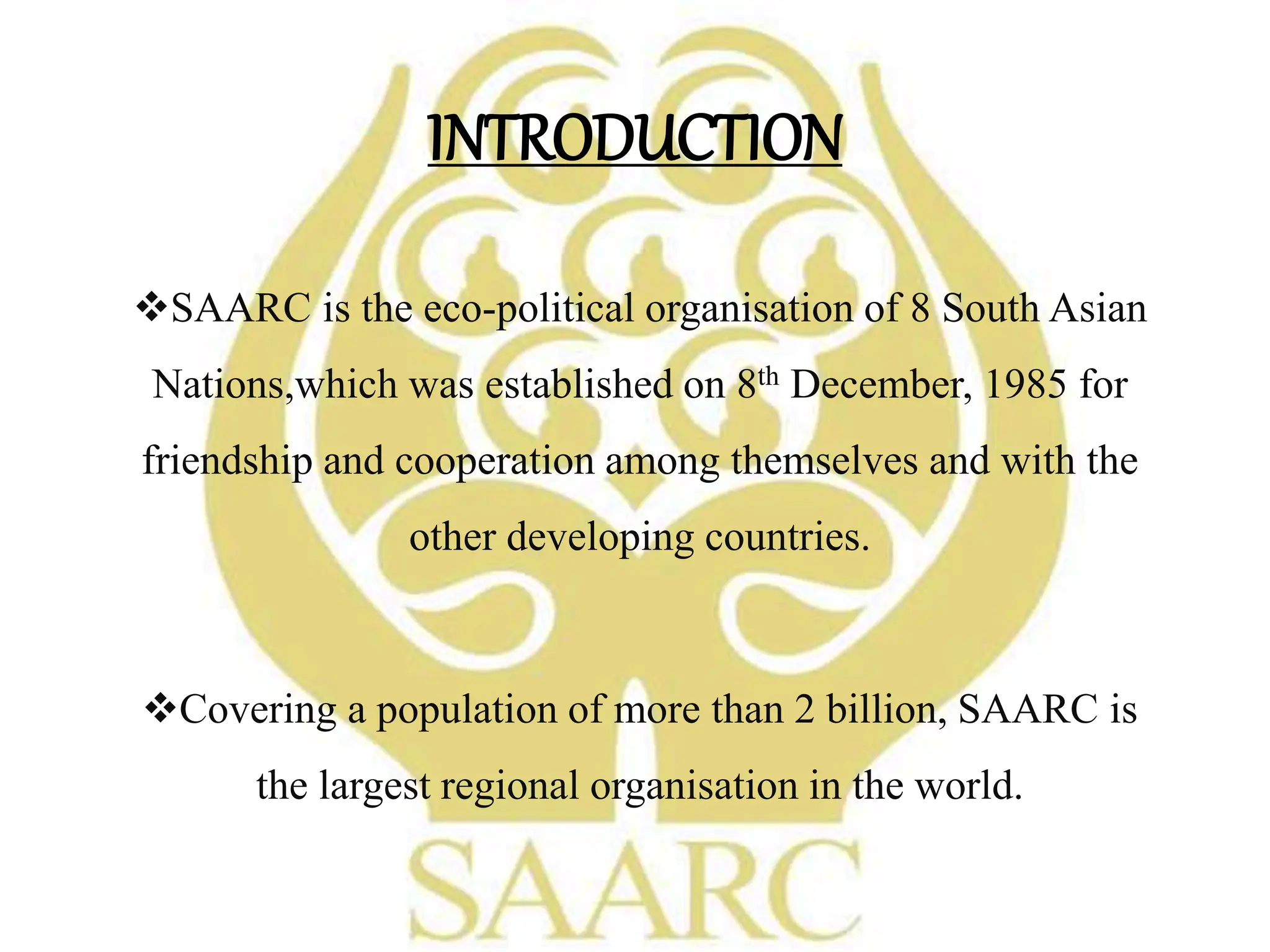 saarcppt-170924162341 (1).pdf