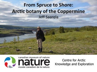 From Spruce to Shore:
Arctic botany of the Coppermine
Jeff Saarela
Sokoloff
Centre for Arctic
Knowledge and Exploration
 