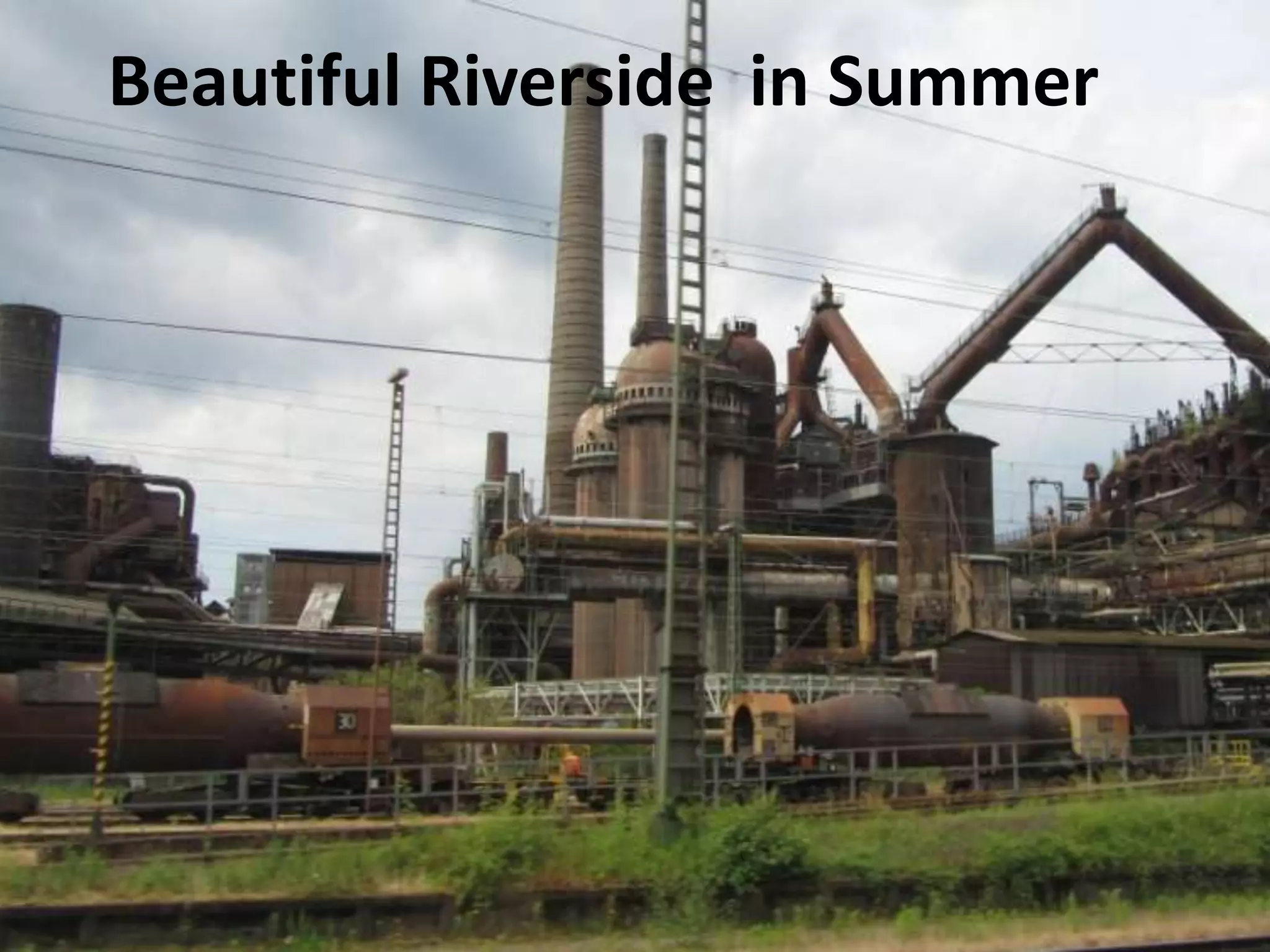 Beautiful Riverside in Summer