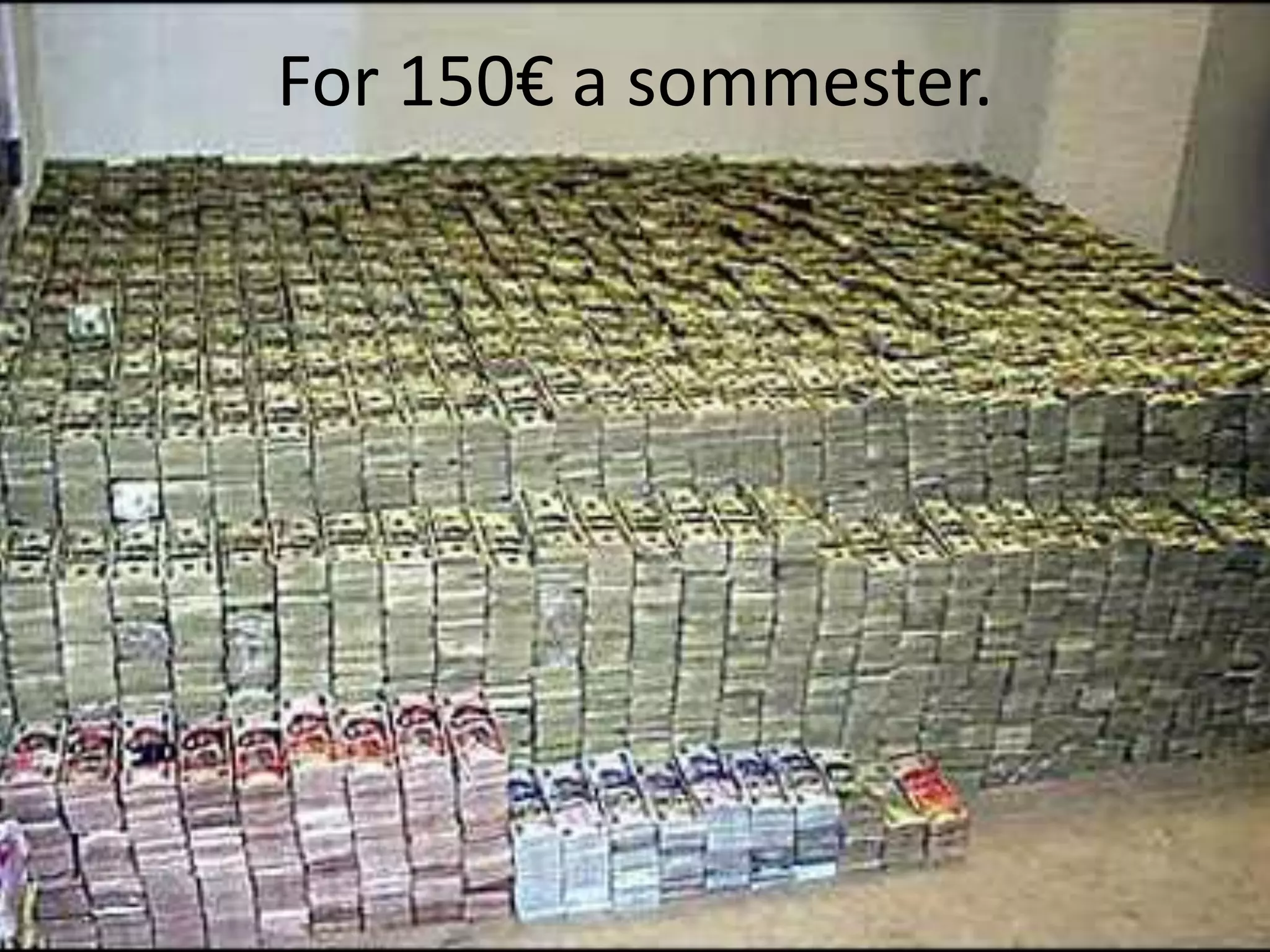 For 150€ a sommester.