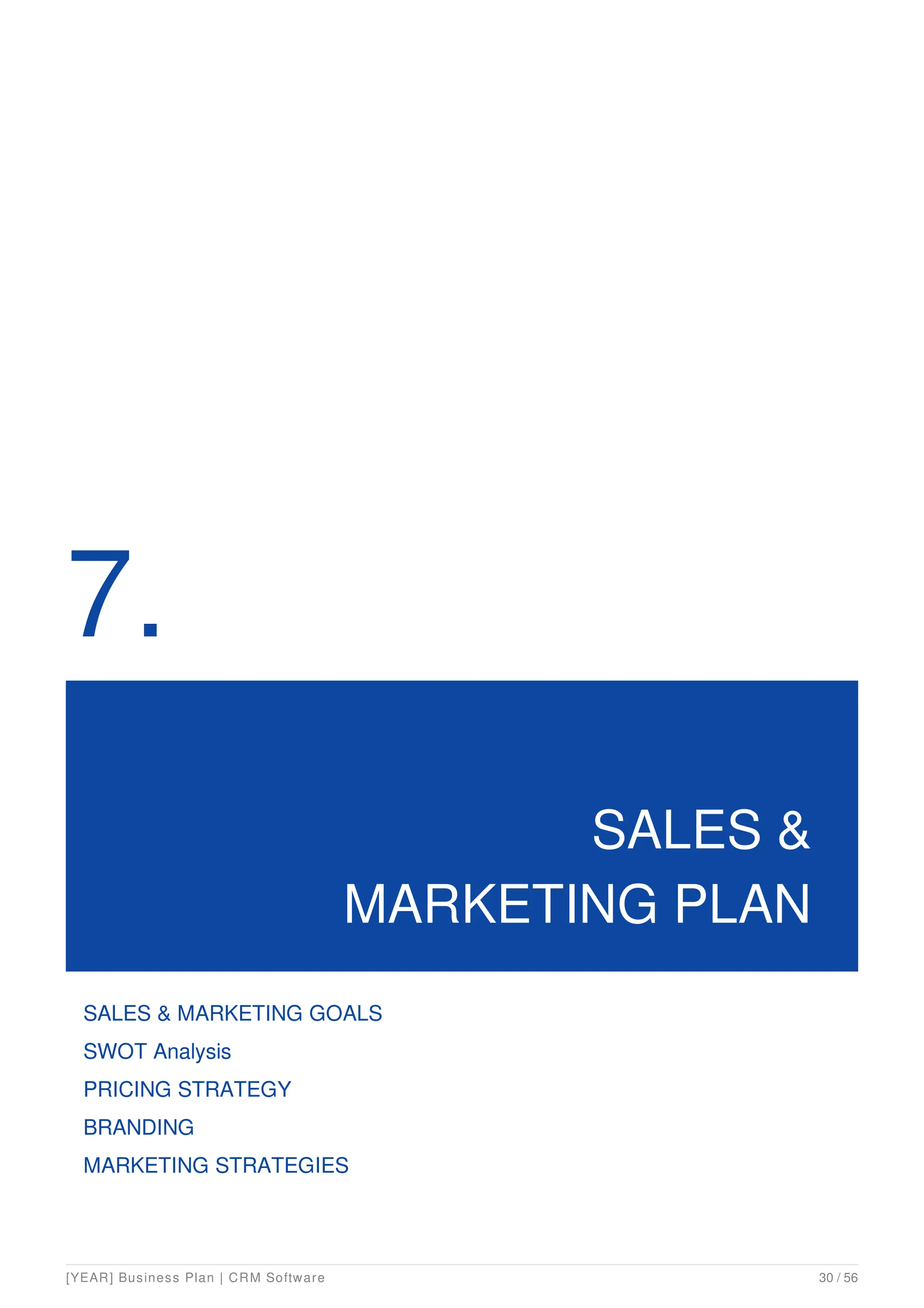 Saas Business Plan Example Pdf