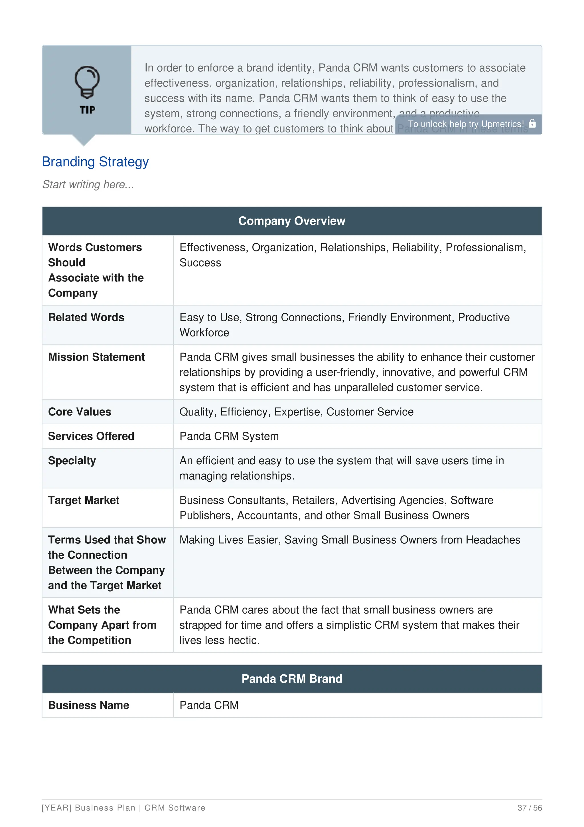 Saas Business Plan Example Pdf