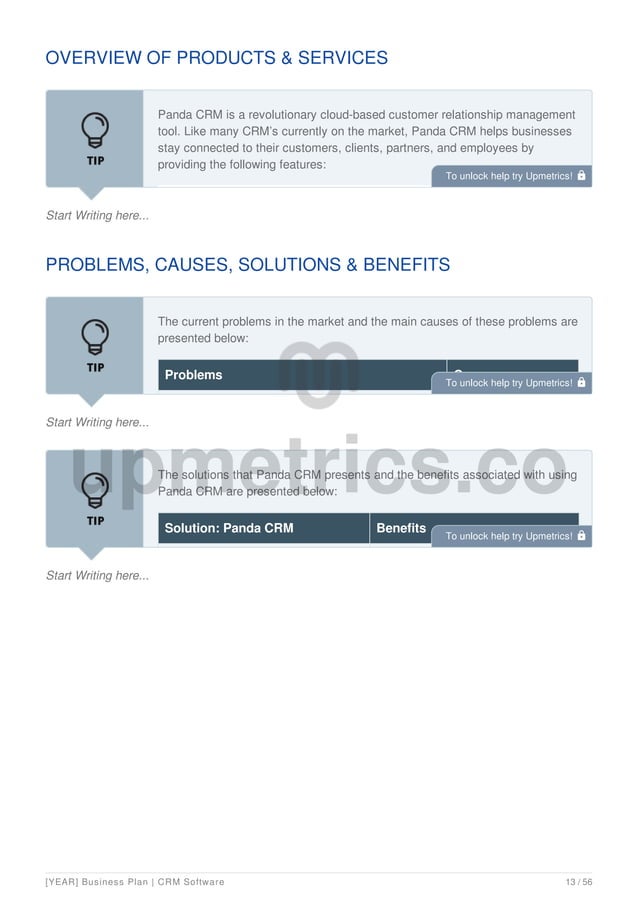 Saas Business Plan Example Pdf Sales Business
