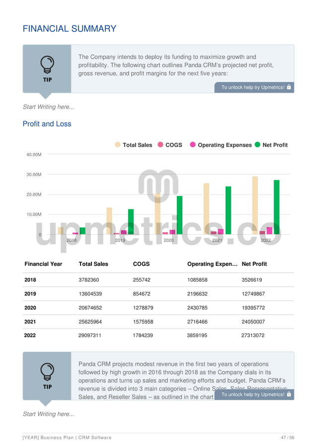 Saas Business Plan Example Pdf Sales Business