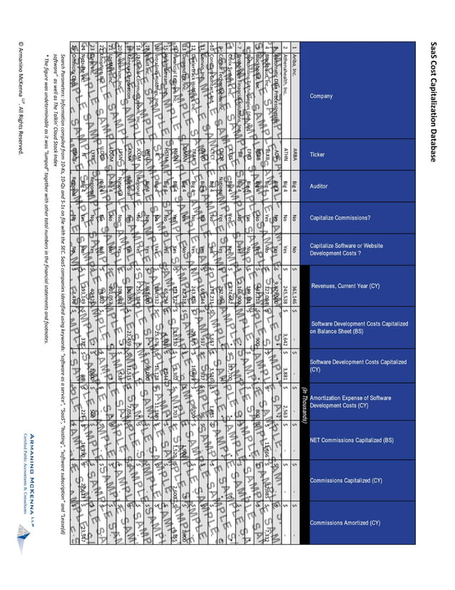 SaaS Companies What Costs Should Be Capitalized?