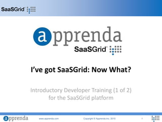 I’ve got SaaSGrid: Now What? Introductory Developer Training (1 of 2)for the SaaSGrid platform 