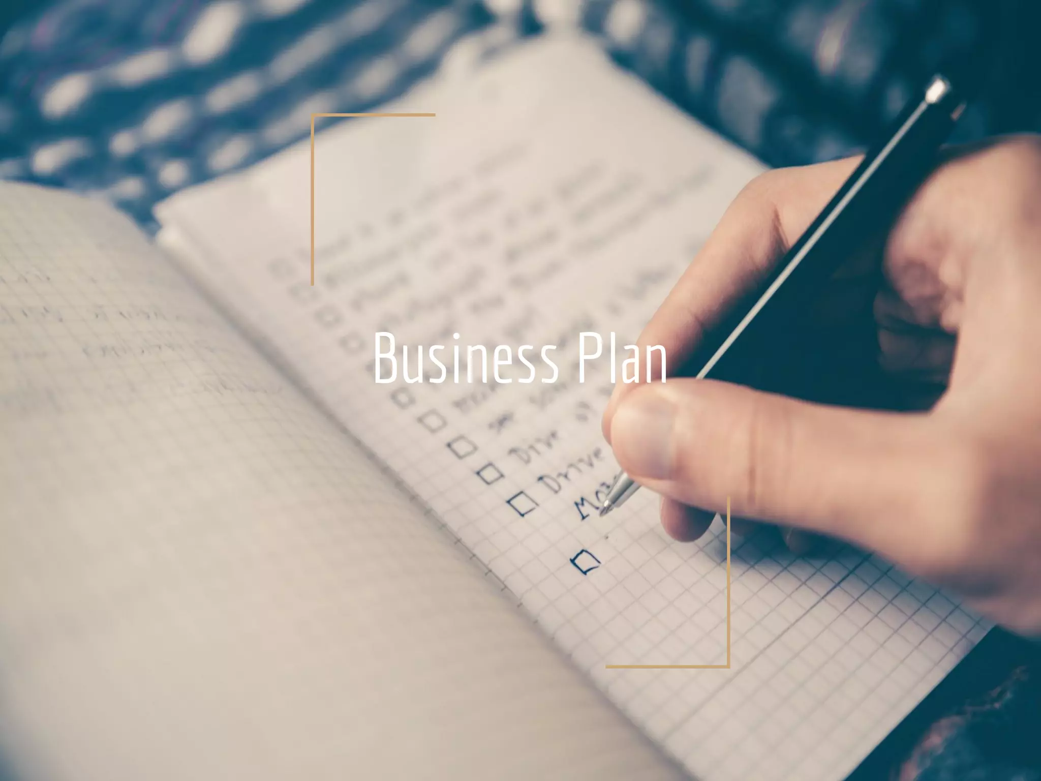 Business Plan