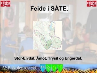 Feide i SÅTE. Stor-Elvdal, Åmot, Trysil og Engerdal. 