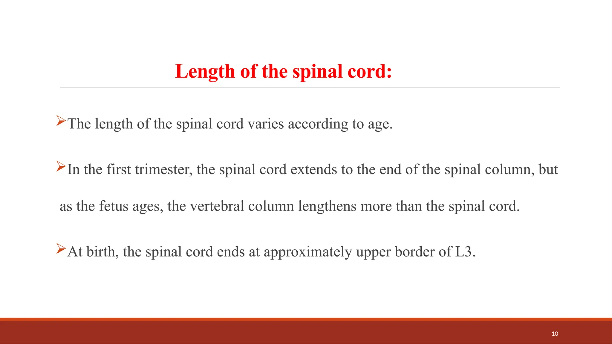 10
Length of the spinal cord:
The length of the spinal cord varies according to age.
In the first trimester, the spinal cord extends to the end of the spinal column, but
as the fetus ages, the vertebral column lengthens more than the spinal cord.
At birth, the spinal cord ends at approximately upper border of L3.
 