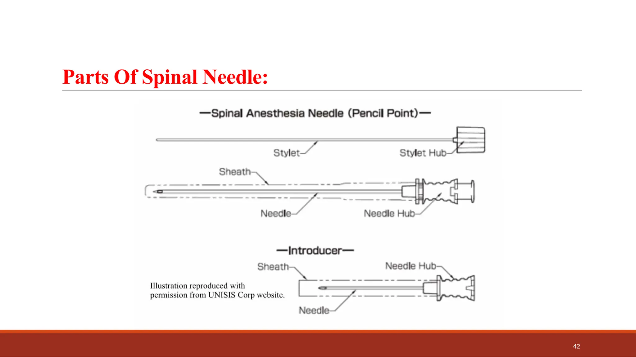 42
Parts Of Spinal Needle:
 