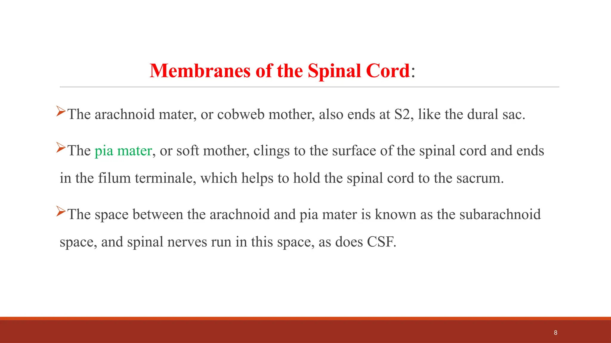 8
Membranes of the Spinal Cord:
The arachnoid mater, or cobweb mother, also ends at S2, like the dural sac.
The pia mater, or soft mother, clings to the surface of the spinal cord and ends
in the filum terminale, which helps to hold the spinal cord to the sacrum.
The space between the arachnoid and pia mater is known as the subarachnoid
space, and spinal nerves run in this space, as does CSF.
 