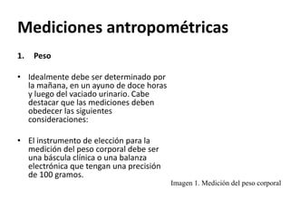 Mediciones antropométricas
1. Peso
• Idealmente debe ser determinado por
la mañana, en un ayuno de doce horas
y luego del vaciado urinario. Cabe
destacar que las mediciones deben
obedecer las siguientes
consideraciones:
• El instrumento de elección para la
medición del peso corporal debe ser
una báscula clínica o una balanza
electrónica que tengan una precisión
de 100 gramos.
Imagen 1. Medición del peso corporal
 