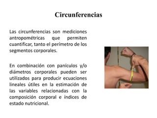 Circunferencias
Las circunferencias son mediciones
antropométricas que permiten
cuantificar, tanto el perímetro de los
segmentos corporales.
En combinación con panículos y/o
diámetros corporales pueden ser
utilizados para producir ecuaciones
lineales útiles en la estimación de
las variables relacionadas con la
composición corporal e índices de
estado nutricional.
 