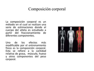 Composición corporal
La composición corporal es un
método en el cual se realizan una
serie de estimaciones donde el
cuerpo del atleta es estudiado a
partir del fraccionamiento de
diferentes componentes.
Uno de los efectos más
modificable por el entrenamiento
físico es la composición corporal.
Esta se refiere a la cantidad
relativa de grasa, músculo, hueso
y otros componentes del peso
corporal.
 