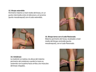 12. Bíceps extendido
Perímetro máximo a nivel medio del brazo, en un
punto intermedio entre el olécranon y el acromio
(punto mesobraquial) con el codo extendido.
13. Bíceps tenso con el codo flexionado
Máximo perímetro del brazo, localizado a nivel
medio del bíceps contraído (punto
mesobraquial), con el codo flexionado.
14. Antebrazo
La medición se realiza a la altura del máximo
perímetro del antebrazo cuando la mano es
sostenida con la palma hacia arriba y los músculos
del brazo relajados.
 