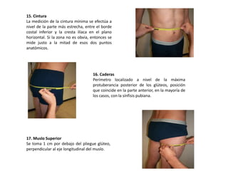 15. Cintura
La medición de la cintura mínima se efectúa a
nivel de la parte más estrecha, entre el borde
costal inferior y la cresta ilíaca en el plano
horizontal. Si la zona no es obvia, entonces se
mide justo a la mitad de esos dos puntos
anatómicos.
16. Caderas
Perímetro localizado a nivel de la máxima
protuberancia posterior de los glúteos, posición
que coincide en la parte anterior, en la mayoría de
los casos, con la sínfisis pubiana.
17. Muslo Superior
Se toma 1 cm por debajo del pliegue glúteo,
perpendicular al eje longitudinal del muslo.
 
