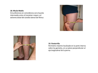 18. Muslo Medio
Circunferencia en coincidencia con el punto
intermedio entre el trocánter mayor y el
extremo distal del cóndilo lateral del fémur.
19. Pantorrilla
Perímetro máximo localizado en la parte interna
sobre los gemelos, en un plano perpendicular al
eje longitudinal de la pierna.
 
