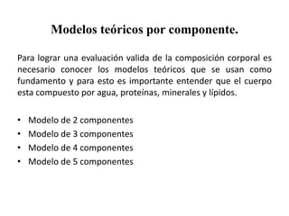 Modelos teóricos por componente.
Para lograr una evaluación valida de la composición corporal es
necesario conocer los modelos teóricos que se usan como
fundamento y para esto es importante entender que el cuerpo
esta compuesto por agua, proteínas, minerales y lípidos.
• Modelo de 2 componentes
• Modelo de 3 componentes
• Modelo de 4 componentes
• Modelo de 5 componentes
 