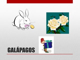 GALÁPAGOS
 