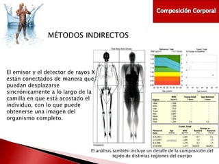 MÉTODOS INDIRECTOS

El emisor y el detector de rayos X
están conectados de manera que
puedan desplazarse
sincrónicamente a lo largo de la
camilla en que está acostado el
individuo, con lo que puede
obtenerse una imagen del
organismo completo.

El análisis también incluye un detalle de la composición del
tejido de distintas regiones del cuerpo

 