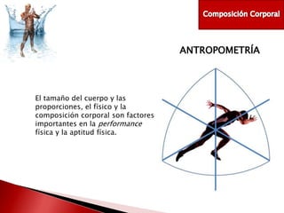 ANTROPOMETRÍA

El tamaño del cuerpo y las
proporciones, el físico y la
composición corporal son factores
importantes en la performance
física y la aptitud física.

 