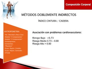 MÉTODOS DOBLEMENTE INDIRECTOS
ÍNDICE CINTURA / CADERA

ANTROPOMETRIA
•Ind. Obesidad y Masa Corp
•Modelo “4 Componentes”
•Modelo “2 Componentes”
•Somatogramas.
•Somatotipo.
•“Phamtom”
•Ecuac. Regres. Lineales.
•Ecuac. Regres. Generales
•O’Scale

Asociación con problemas cardiovasculares:
Riesgo Bajo <0.73
Riesgo Medio 0.73 – 0.80
Riesgo Alto > 0.80

 