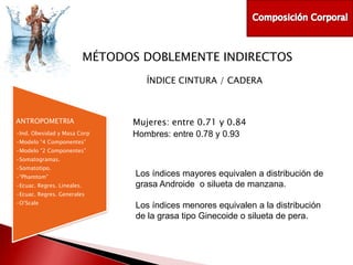 MÉTODOS DOBLEMENTE INDIRECTOS
ÍNDICE CINTURA / CADERA

ANTROPOMETRIA
•Ind. Obesidad y Masa Corp
•Modelo “4 Componentes”

Mujeres: entre 0.71 y 0.84
Hombres: entre 0.78 y 0.93

•Modelo “2 Componentes”
•Somatogramas.
•Somatotipo.
•“Phamtom”
•Ecuac. Regres. Lineales.

Los índices mayores equivalen a distribución de
grasa Androide o silueta de manzana.

•Ecuac. Regres. Generales
•O’Scale

Los índices menores equivalen a la distribución
de la grasa tipo Ginecoide o silueta de pera.

 