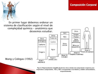 En primer lugar debemos ordenar un
sistema de clasificación según el nivel de
complejidad química – anatómica que
deseemos estudiar.

Wang y Colegas (1992)

 