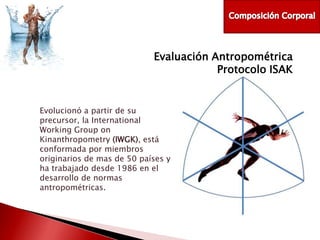 Evaluación Antropométrica
Protocolo ISAK

Evolucionó a partir de su
precursor, la International
Working Group on
Kinanthropometry (IWGK), está
conformada por miembros
originarios de mas de 50 países y
ha trabajado desde 1986 en el
desarrollo de normas
antropométricas.

 