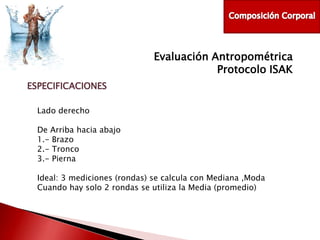 Evaluación Antropométrica
Protocolo ISAK
ESPECIFICACIONES
Lado derecho
De Arriba hacia abajo
1.- Brazo
2.- Tronco
3.- Pierna
Ideal: 3 mediciones (rondas) se calcula con Mediana ,Moda
Cuando hay solo 2 rondas se utiliza la Media (promedio)

 