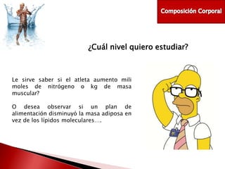 ¿Cuál nivel quiero estudiar?

Le sirve saber si el atleta aumento mili
moles de nitrógeno o kg de masa
muscular?
O desea observar si un plan de
alimentación disminuyó la masa adiposa en
vez de los lípidos moleculares….

 