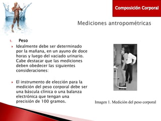 1.




Peso
Idealmente debe ser determinado
por la mañana, en un ayuno de doce
horas y luego del vaciado urinario.
Cabe destacar que las mediciones
deben obedecer las siguientes
consideraciones:

El instrumento de elección para la
medición del peso corporal debe ser
una báscula clínica o una balanza
electrónica que tengan una
precisión de 100 gramos.

Imagen 1. Medición del peso corporal

 