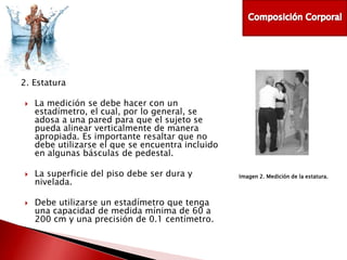 2. Estatura
2. Estatura






La medición se debe hacer con un
estadímetro, el cual, por lo general, se
adosa a una pared para que el sujeto se
pueda alinear verticalmente de manera
apropiada. Es importante resaltar que no
debe utilizarse el que se encuentra incluido
en algunas básculas de pedestal.
La superficie del piso debe ser dura y
nivelada.
Debe utilizarse un estadímetro que tenga
una capacidad de medida mínima de 60 a
200 cm y una precisión de 0.1 centímetro.

Imagen 2. Medición de la estatura.

 