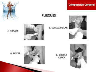 PLIEGUES

5. SUBESCAPULAR
3. TRICEPS

4. BICEPS

6. CRESTA
ILEACA

 