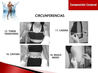 CIRCUNFERENCIAS

15. TORÁX
TRANSVERSO

16. CINTURA

17. CADERA

18. MUSLO
MEDIO

 