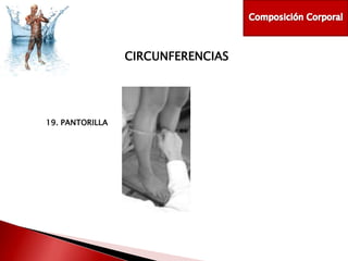 CIRCUNFERENCIAS

19. PANTORILLA

 