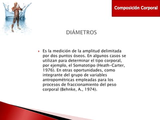 

Es la medición de la amplitud delimitada
por dos puntos óseos. En algunos casos se
utilizan para determinar el tipo corporal,
por ejemplo, el Somatotipo (Heath-Carter,
1976). En otras oportunidades, como
integrante del grupo de variables
antropométricas empleadas para los
procesos de fraccionamiento del peso
corporal (Behnke, A., 1974).

 