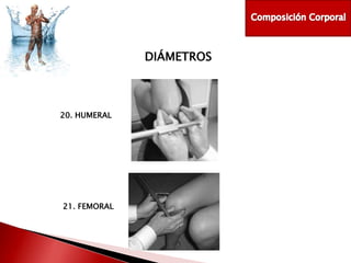 DIÁMETROS

20. HUMERAL

21. FEMORAL

 