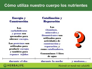 Cómo utiliza nuestro cuerpo los nutrientes

   Energía y           Catalización y
  Construcción          Reparación

        Los                     Las
   carbohidratos           vitaminas,
    y grasas son
  quemados para
  obtener energía.
  Las proteínas son
   utilizadas para
                           minerales y
                       fitonutrientes son
                         utilizados para
                          actividades de
                         construcción y
                          reparación, y
                                             ¿
                                             ¿
  producir energía    como catalizadores.
   y también para
   reponer tejidos    Consumimos 1 litro
                           de agua

  durante el día      durante la noche      y mañana...
 